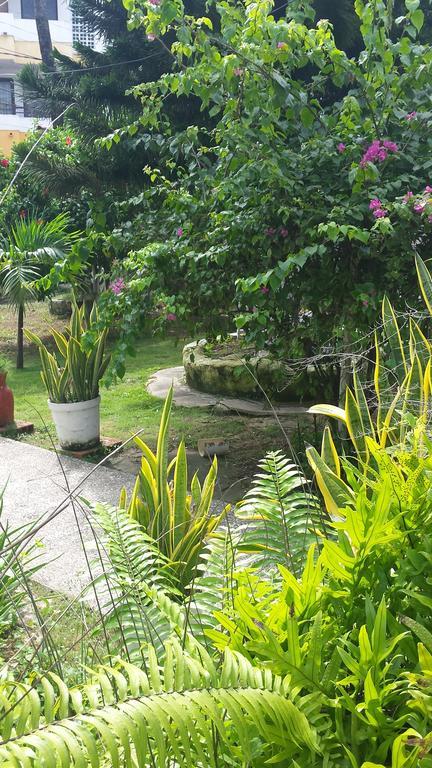 Apartamento Sailodge.Com San Andrés Dış mekan fotoğraf