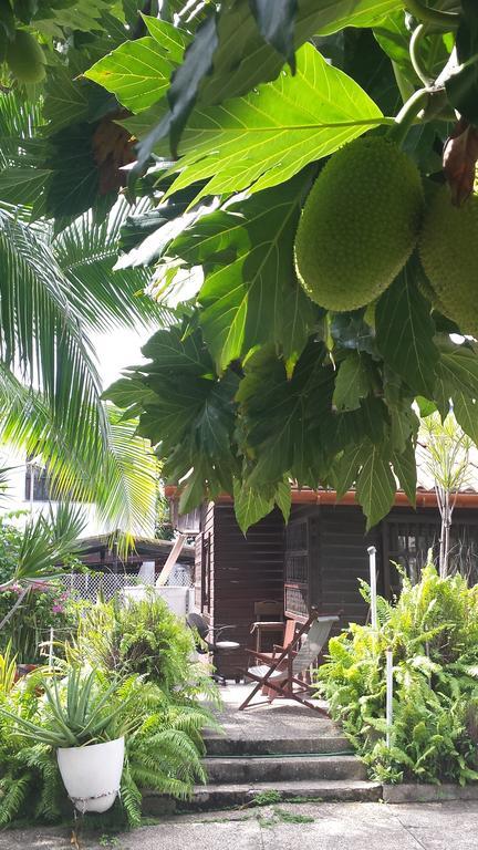 Apartamento Sailodge.Com San Andrés Oda fotoğraf